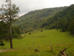 2013-07-07_Kotalm-Jochberg (105).JPG